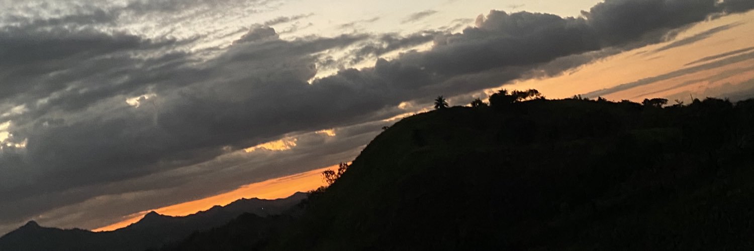 MarielysFranco's profile banner image