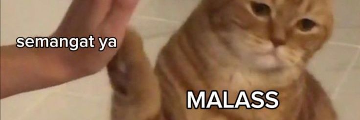 🌼 banner