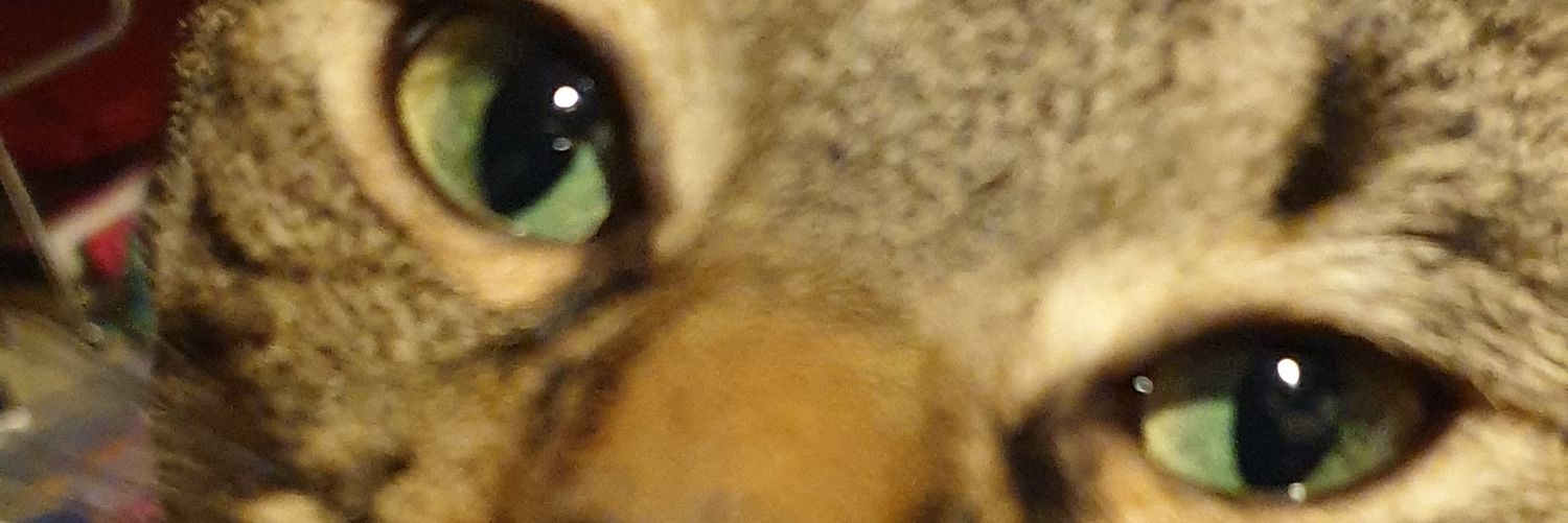 nikjjalpha's profile banner image
