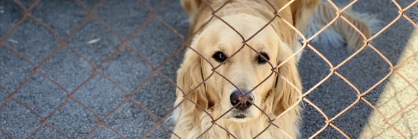 India1229 Profile Banner