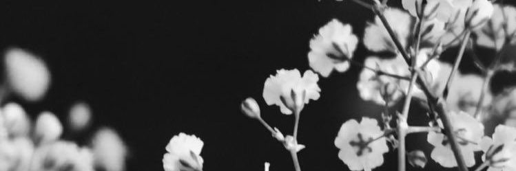 _hermosury's profile banner image