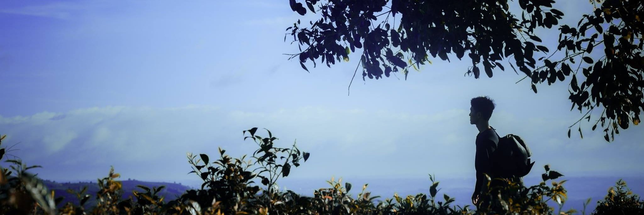 DoTuanManh's profile banner image