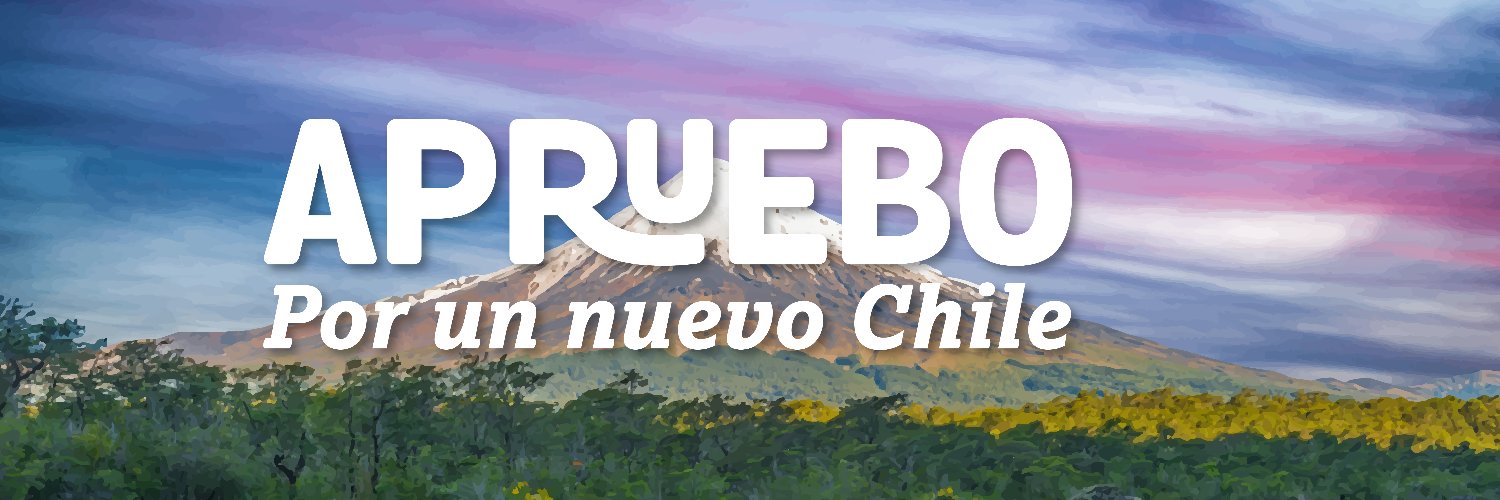 CS Región de Los Ríos banner