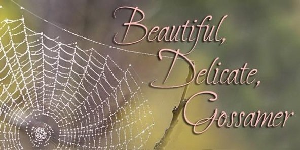 seductive_fae's profile banner image