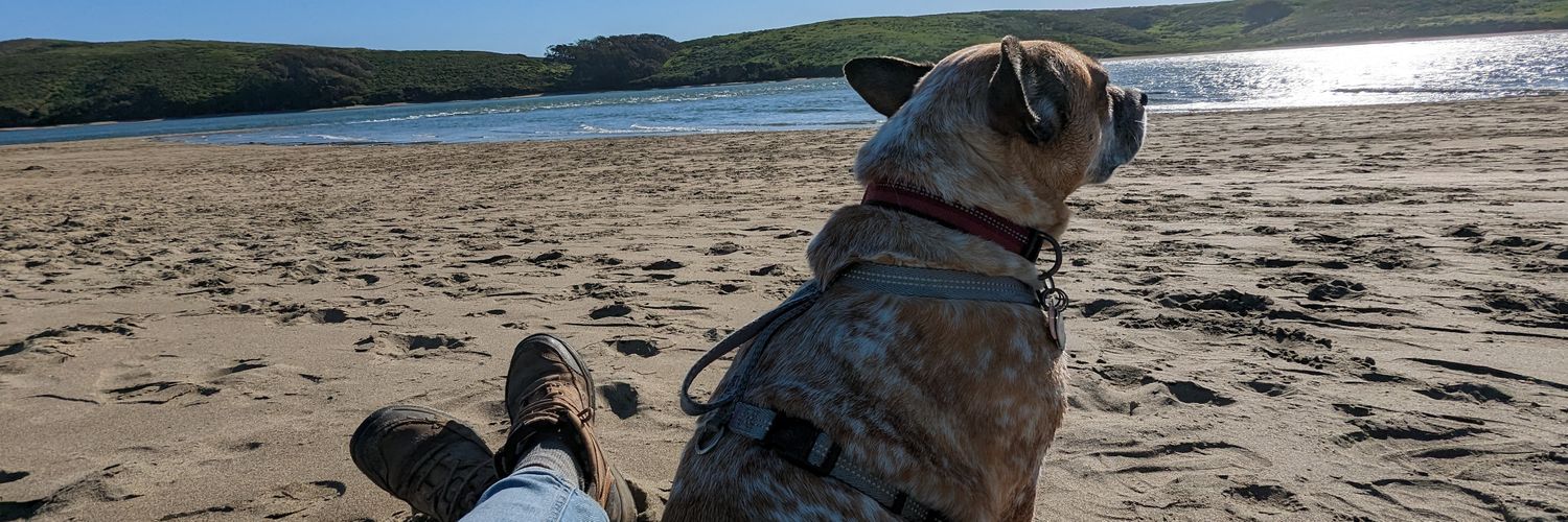 MurphReports's profile banner image