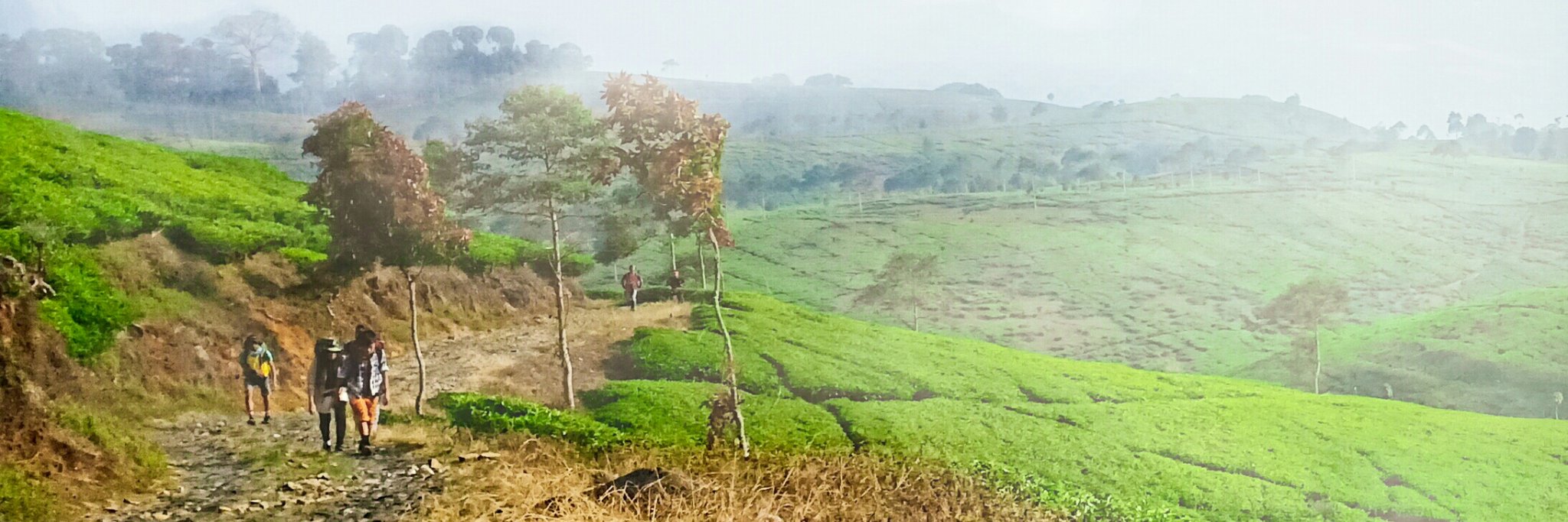 pratamajuandi's profile banner image