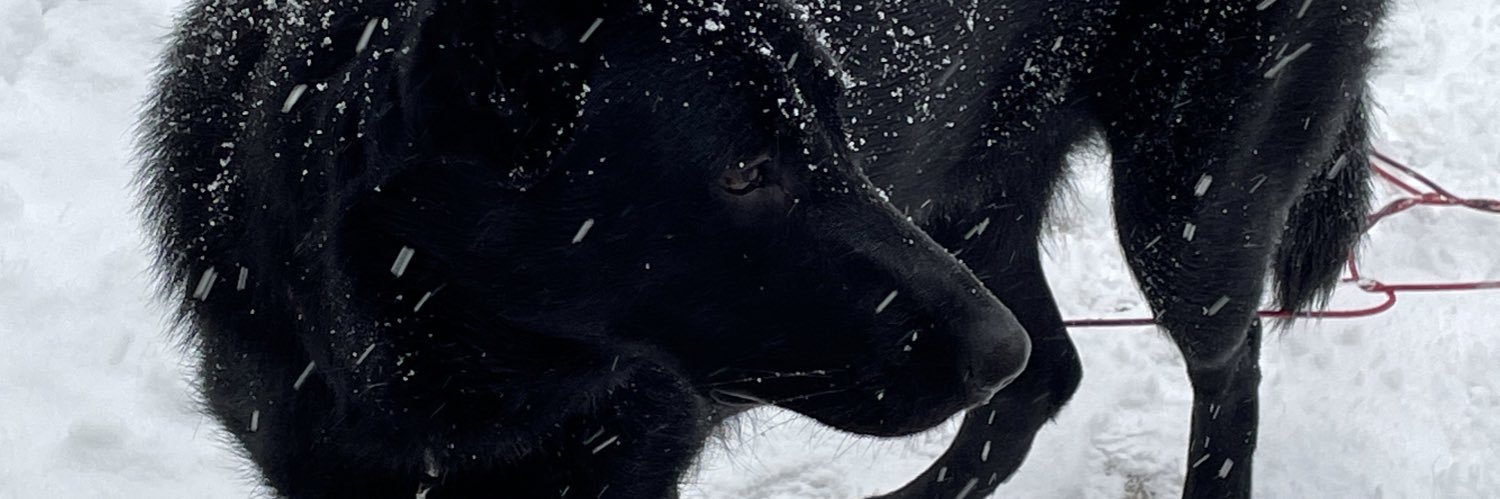 W420nk's profile banner image