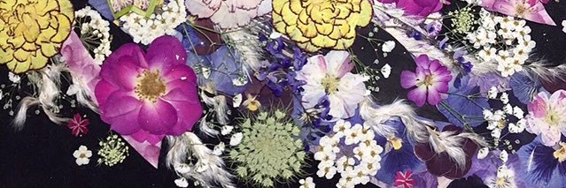 7lights_tomoe's profile banner image