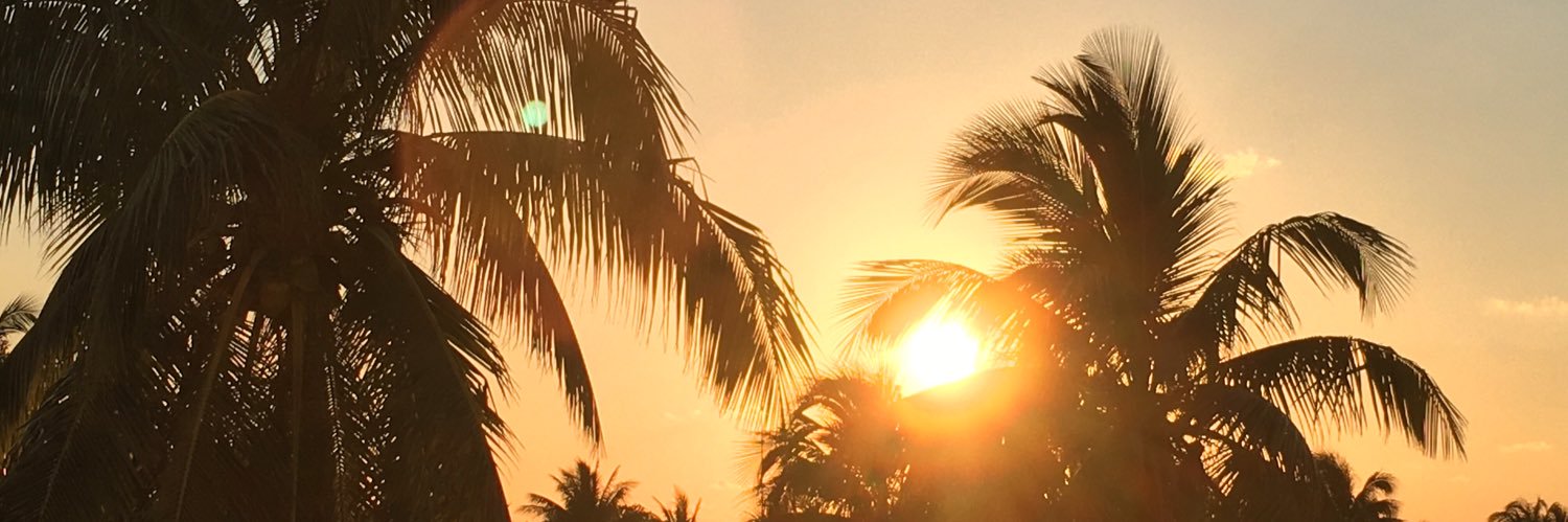 nicoleresendes's profile banner image