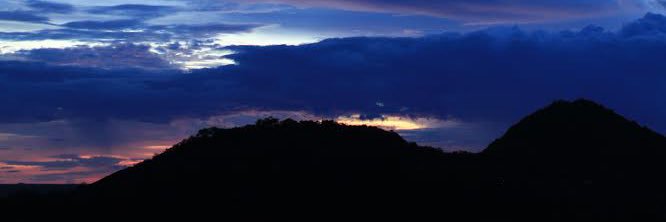 Sara_Buitron's profile banner image