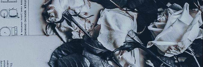 delia_2014's profile banner image