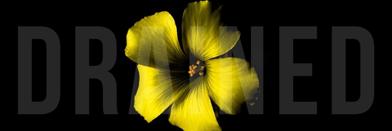 NicaCurt's profile banner image