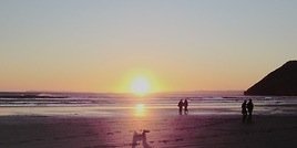 dylanobrienvine's profile banner image