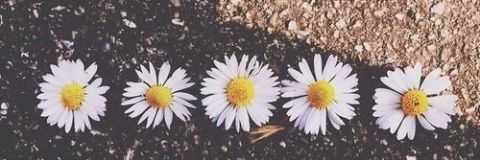 MITAMProjec's profile banner image
