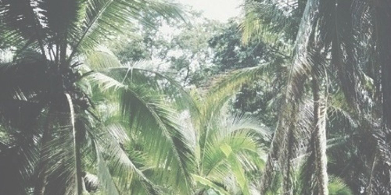 JaydenRPGSO's profile banner image