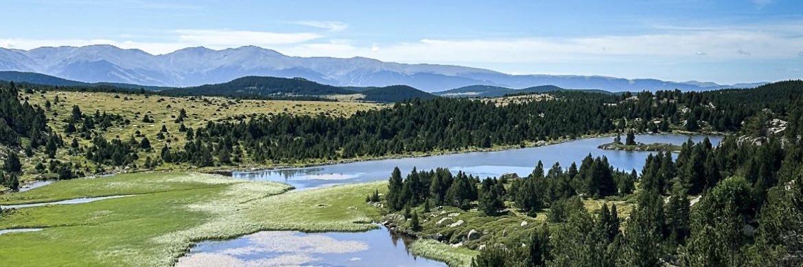 Floowayn7's profile banner image