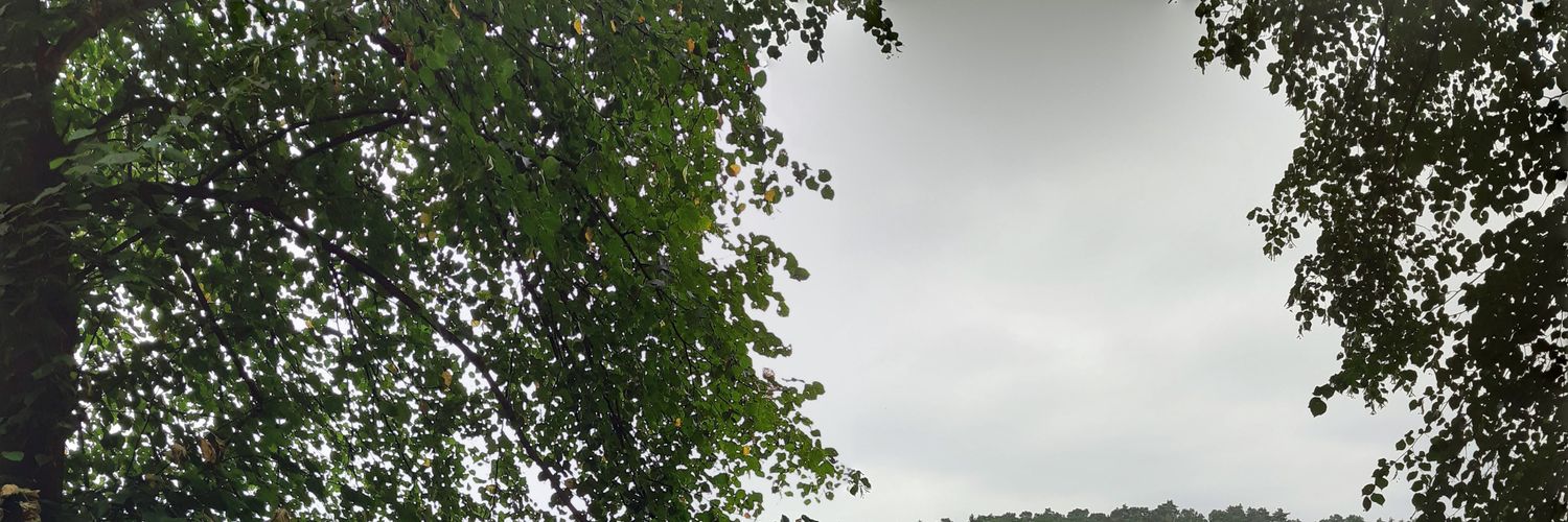 egeroti's profile banner image