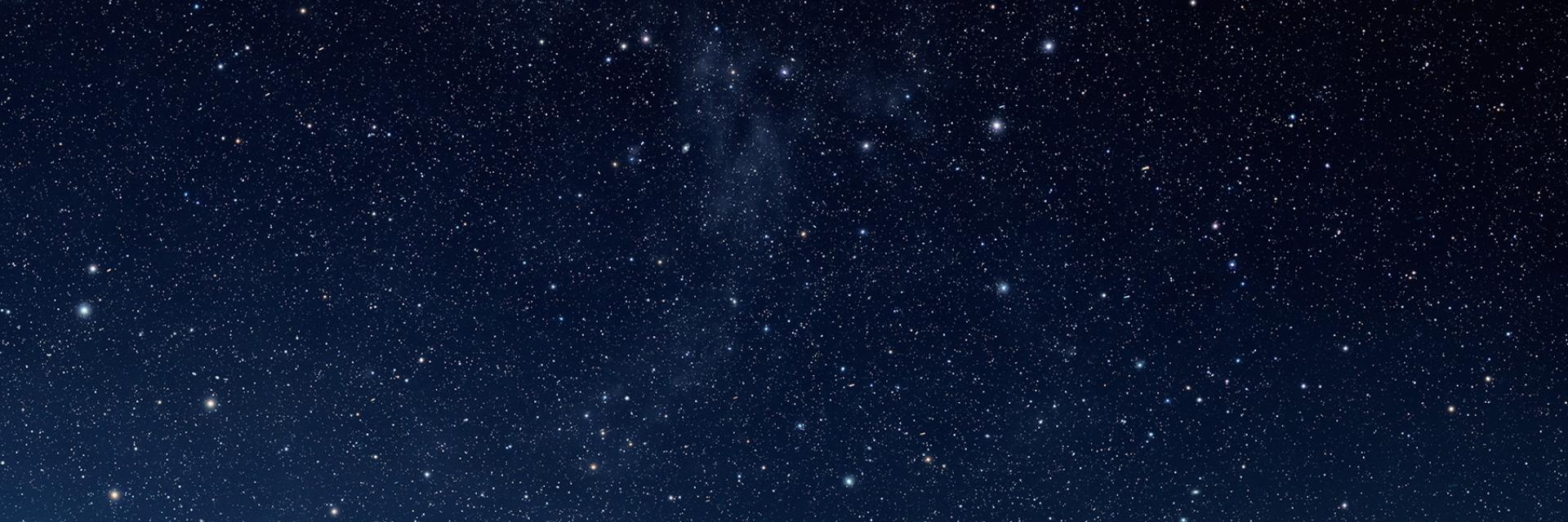 Wooficles's profile banner image