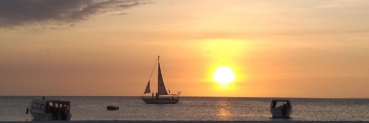 MarianGuzman23's profile banner image