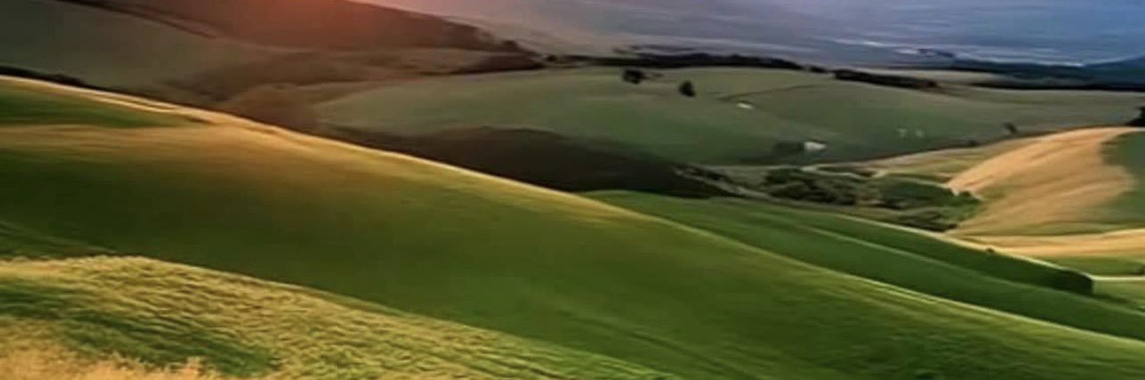erndrr's profile banner image