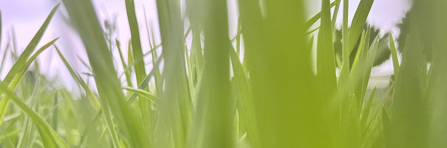 fermel83's profile banner image