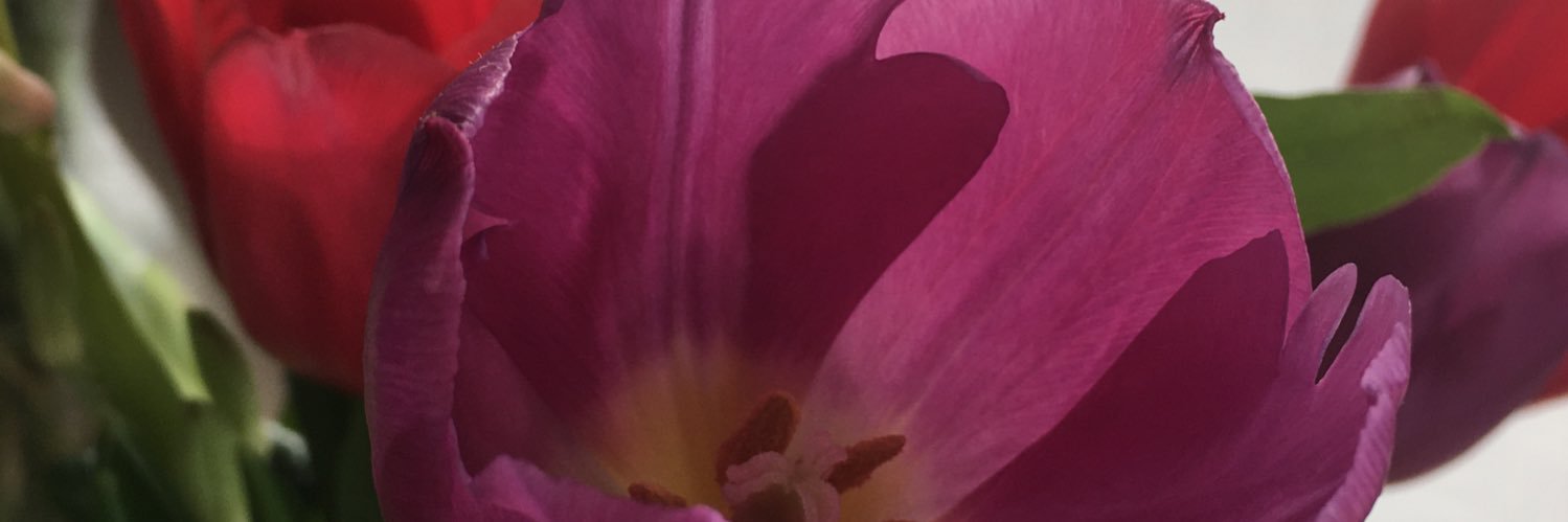 almumineen's profile banner image