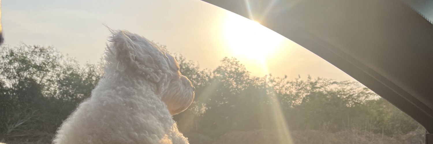 karen paredes banner