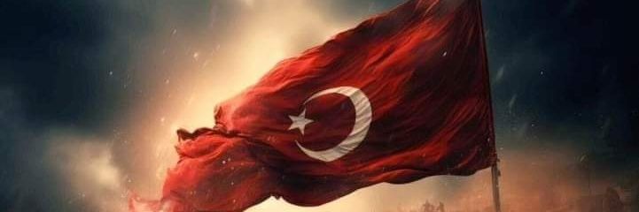 alikoc1979's profile banner image