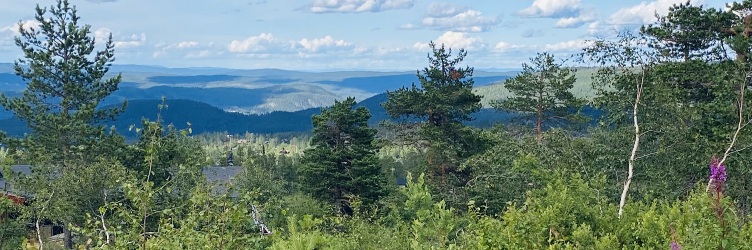 astridmhoff's profile banner image