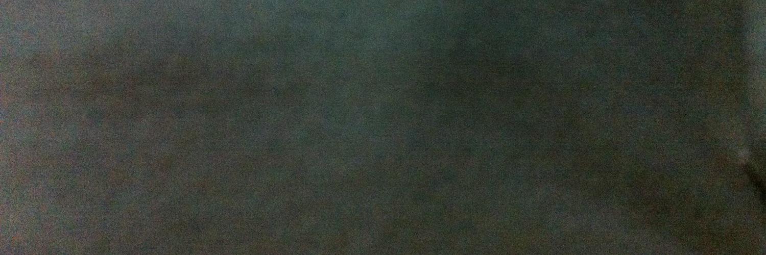 shilvibunga's profile banner image