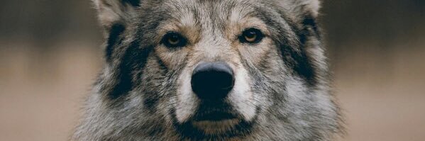12andrew95's profile banner image