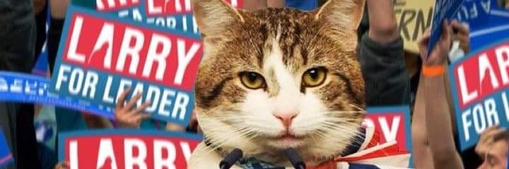 Neil Fitzgerald banner