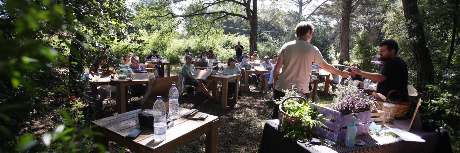 Ernest Morell Torra banner