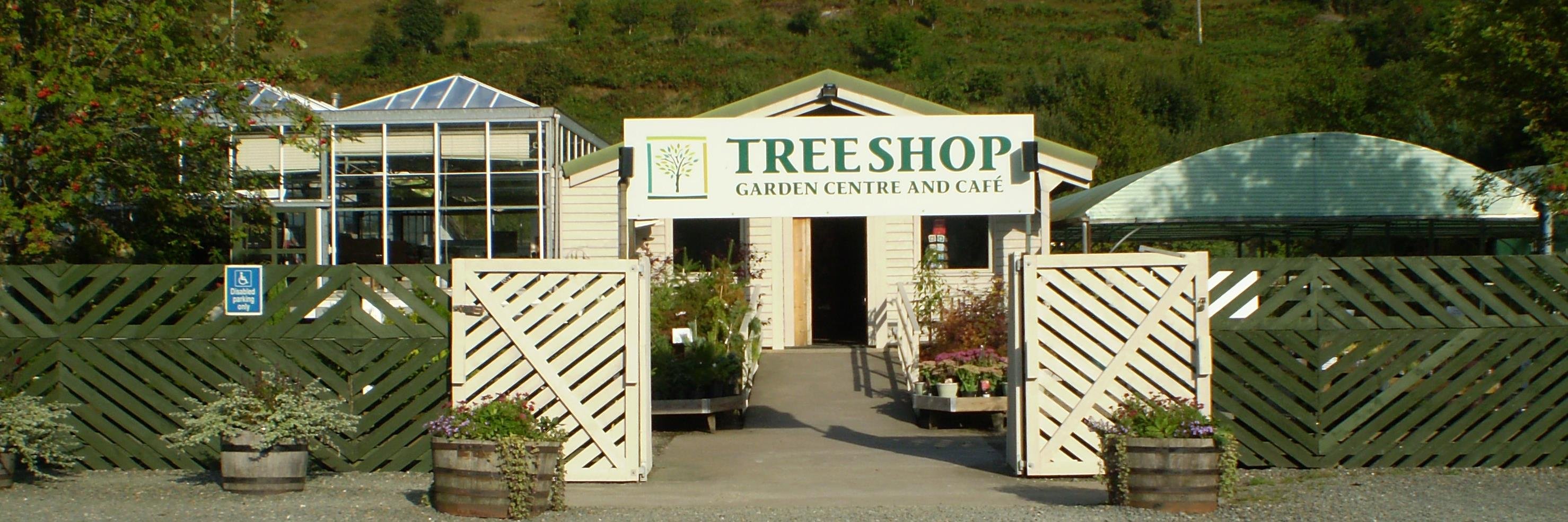 thetreeshop's profile banner image