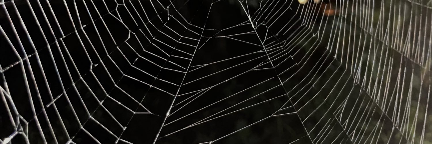 gracedharper's profile banner image