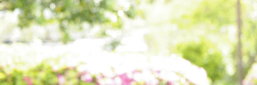フラッシュアップ banner