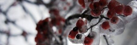 jamour71's profile banner image