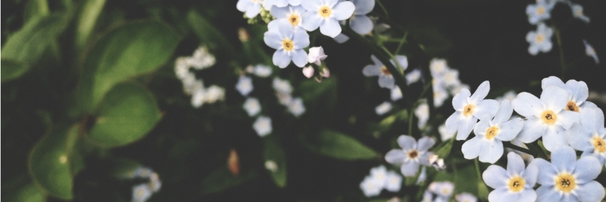 for_emmma_'s profile banner image