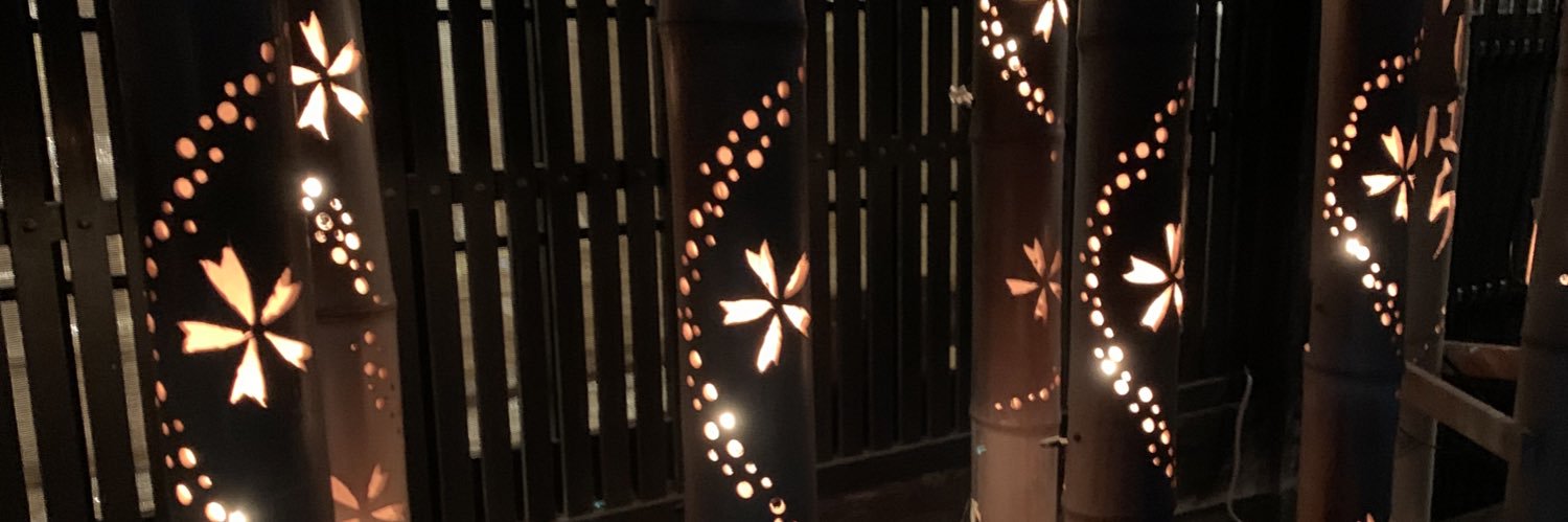 kokoroidea's profile banner image