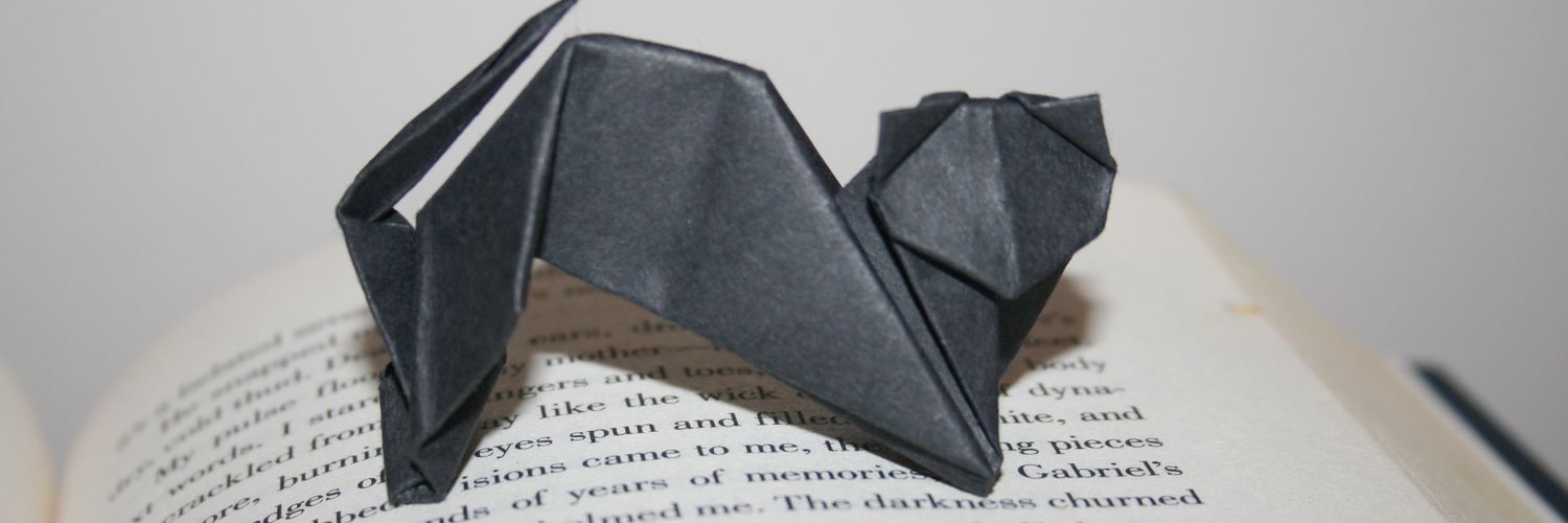 KatSilverReads's profile banner image