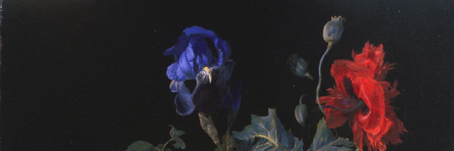 MissTinoco's profile banner image