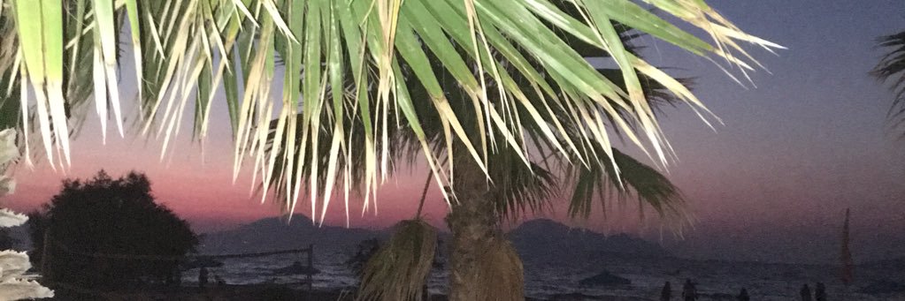 Nicktwoo's profile banner image