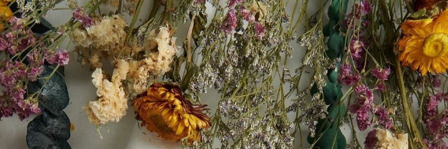 yasmin ⸆⸉🍷📚🌹🧣 banner