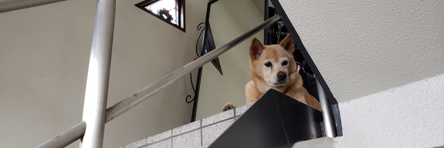 Tomonekoww's profile banner image