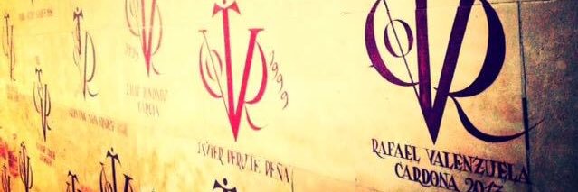 Rafael Valenzuela banner