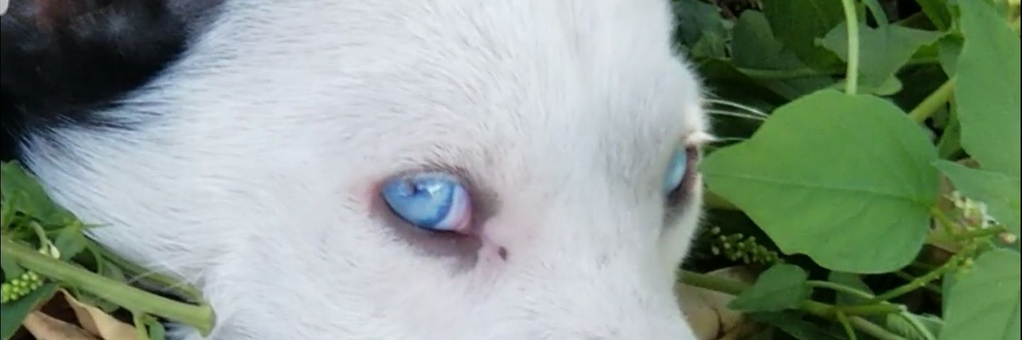 My_Trending_eye's profile banner image