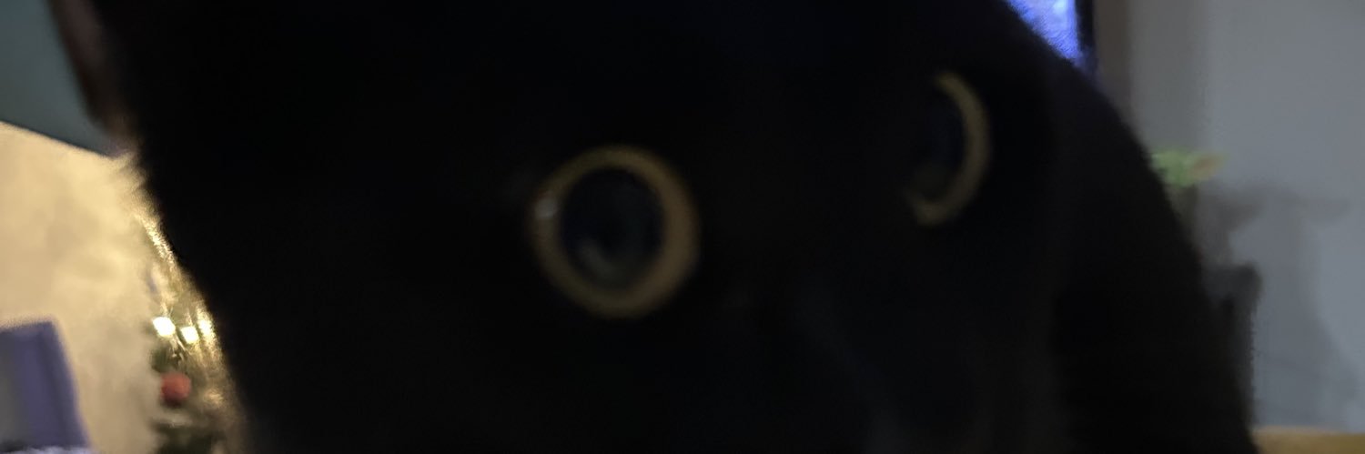 dustee__'s profile banner image