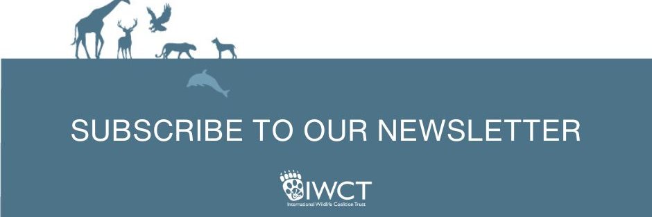 IWCTUK's profile banner image