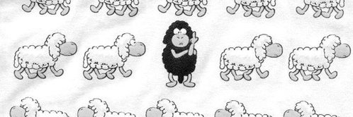 rmozel's profile banner image