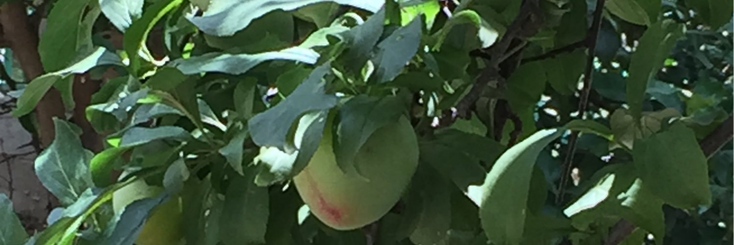 AlqraniS's profile banner image